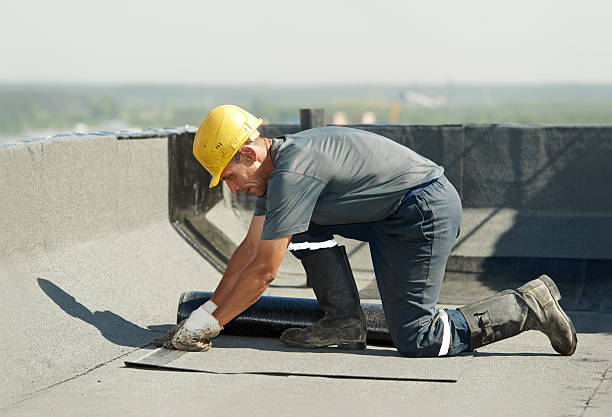 Best Attic Insulation Installation  in Evergreen, CO